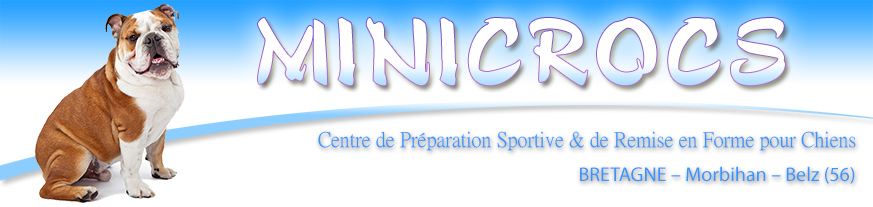 Education canine et hydrothérapie en Bretagne avec MINICROCS